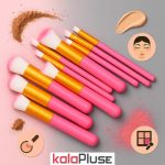 ست براش 10 تکه ایرانی