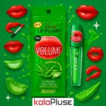 بالم لب حجم دهنده آلوئه ورا Vwid