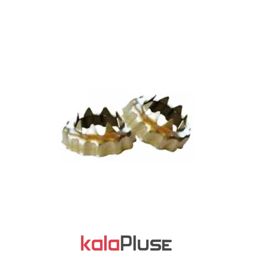 واشر خورشیدی پراید بسته 10 عددی