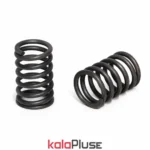 فنر سوپاپ تیبا بسته 5 عددی