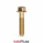 پیچ عقب رام موتور پراید بسته 10 عددی